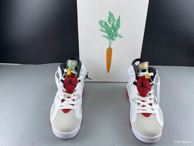Kick Theory Jordan Hare 6 CT8529-062 Air 0716